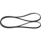 1 987 946 239 Keilrippenriemen