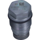 1 110 010 022 Druckbegrenzungsventil, Common-Rail-System