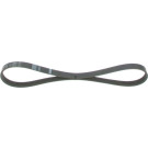 Keilrippenriemen FORD,MAZDA,VOLVO Elastic 1987946121