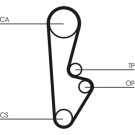 Continental CTAM Zahnriemen CT559