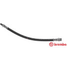 BREMBO Bremsschlauch | T 50 026