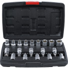 BGS Bit-Einsatz-/Steckschlüssel-Satz Antrieb Innensechskant 12,5 mm (1/2 ) T-Profil (für Torx)/E-Profil 19-tlg BGS Do it yourself 95100