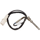 Temperatursensor Auspuff Iveco Daily (06-11) | 69502946