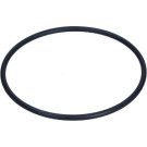 Original VAG Kraftstofffilterdichtung VW Passat 1.9/2.0 Tdi 06-12 | 3C0127113