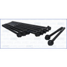 Zylinderkopfschraubensatz | 81027900