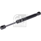 Gasfeder, Heckscheibe | 29268