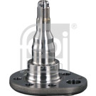 FEBI BILSTEIN Achsstift | 18348