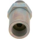1 110 010 021 Druckbegrenzungsventil, Common-Rail-System