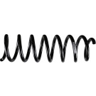 SACHS Fahrwerksfeder | 993 852