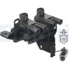 DELPHI Zündspule GN10413-12B1