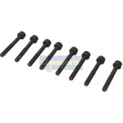 Zylinderkopfschraube BL-K01