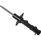 Stoßdämpfer | 314893