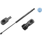 Gasfeder, Koffer-/Laderaum MEYLE-ORIGINAL: True to OE 16-40 910 0014