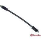BREMBO Bremsschlauch | T 85 034