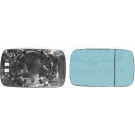 VAN WEZEL Spiegelglas, Außenspiegel 0646838 HAGUS