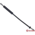 BREMBO Bremsschlauch | T 85 032