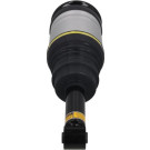 2070095 Luftfederbein