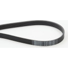 Keilrippenriemen 6Pk1580 6PK1580