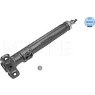 Stoßdämpfer | 266230004