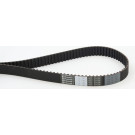 Continental CTAM Zahnriemen CT836
