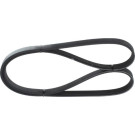 1 987 948 301 Keilrippenriemen