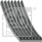 FEBI BILSTEIN Rillenriemen | 38252