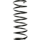 SPIDAN Fahrwerksfeder | 49261