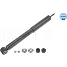 Stoßdämpfer | 33-26 725 0001