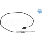 SENSOR, ABGASTEMPERATUR | 2148000063