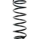 SPIDAN Fahrwerksfeder | 48905