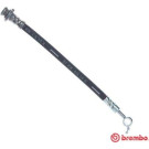 BREMBO Bremsschlauch | T 56 163