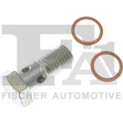 Hohlschraube, Lader | 989-12-003.021