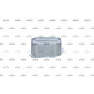 Ölkühler, Motor“L | 31286