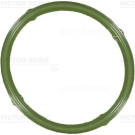Dichtung Ansaugkrümmer(3x/Mot) | SKODA Fabia,VW Polo,Fox | 71-36066-00