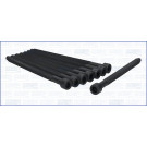 Zylinderkopfschraubensatz | 81028800