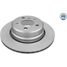 11 482 046PD Bremsscheibe HA Platinum | BMW X5 02 | 315 523 0055/PD