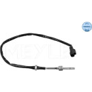 SENSOR, ABGASTEMPERATUR | 2148000060