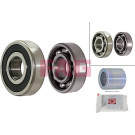 FAG Radlagersatz 713 6233 00