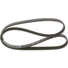 1 987 945 704 Keilrippenriemen