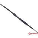 BREMBO Bremsschlauch