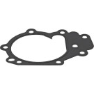 Dichtung, Wasserpumpe | RENAULT | 875.390