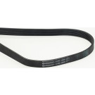 CONTINENTAL CTAM Keilrippenriemen 6PK1590