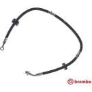 BREMBO Bremsschlauch
