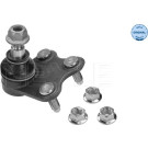 17 303 031 Traggelenk VA | SEAT,SKODA,VW 01 | 1160100024