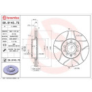 12 481 032M Bremsscheibe VA Brembo Max | AUDI A3,VW Golf,Passat,SKODA 00 | 09.9145.75
