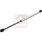 Gasfeder, Koffer-/Laderaum | 31680
