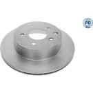85 482 028PD Bremsscheibe HA Platinum | NISSAN Qashqai,X-Trail 01 | 36-15 523 0021/PD