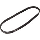 1 987 948 486 Keilrippenriemen