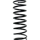 SPIDAN Fahrwerksfeder | 49034