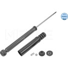 Stoßdämpfer | 16-267250029